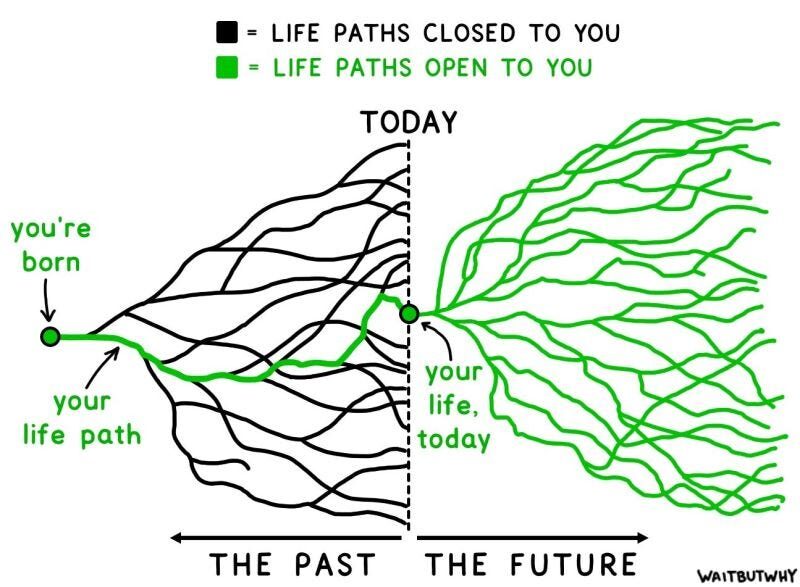 Life Paths: a diagram of the many possible routes a career can take.